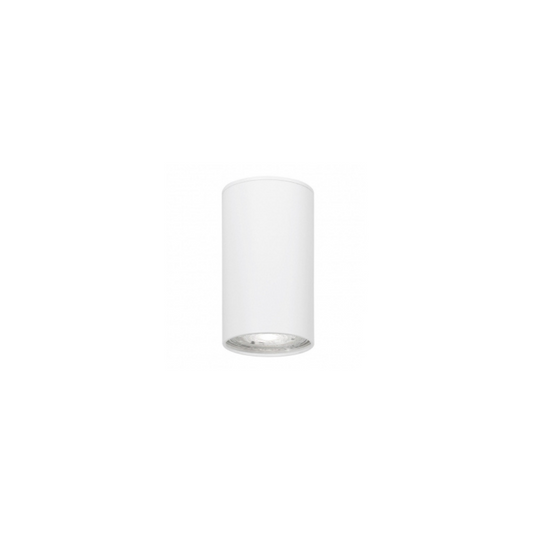 Foco cilindro blanco Ø55*100 1XGU10
