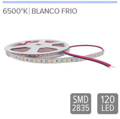 Cinta Led 9.6w 12V SMD 120L luz fría